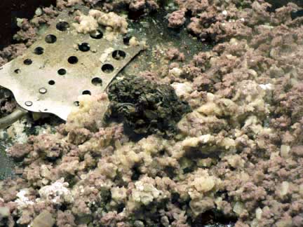 Hamburger Stroganoff Recipe - Gwen's Nest